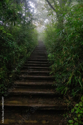 stairway to heaven © 典成 遠山