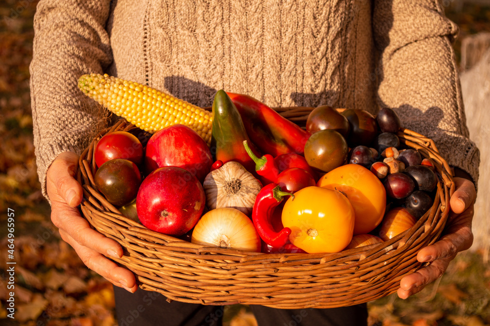 basket of vegetables