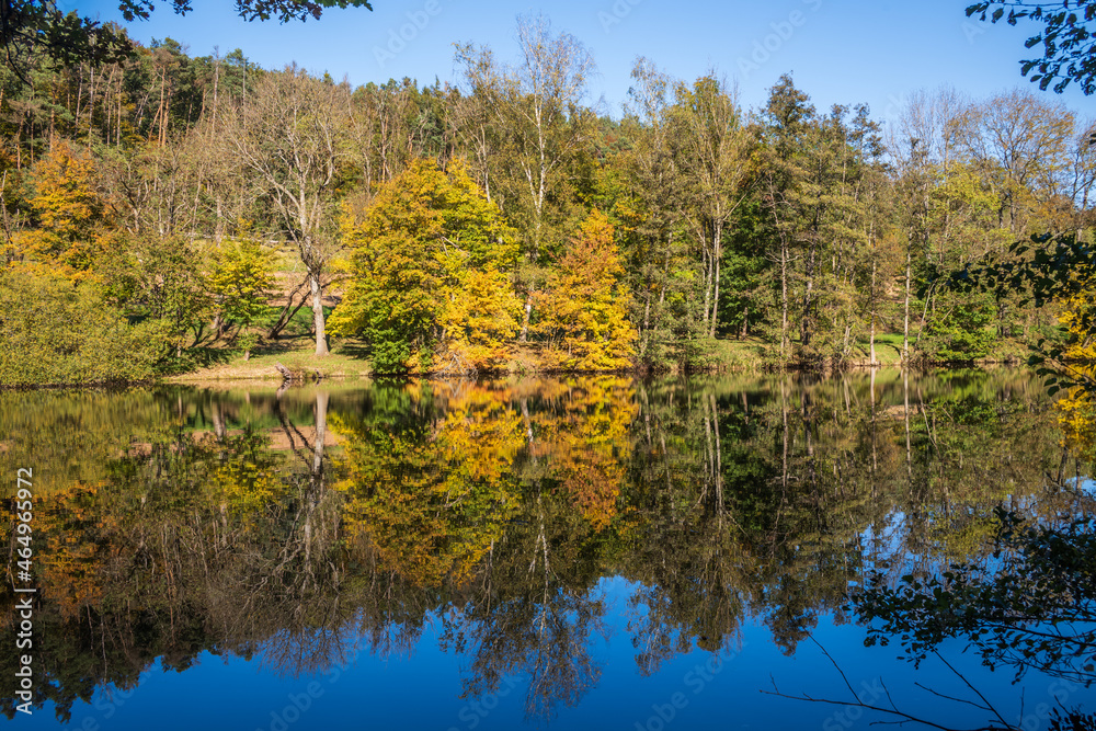 autumn trees reflected in water autumn trees reflected in water