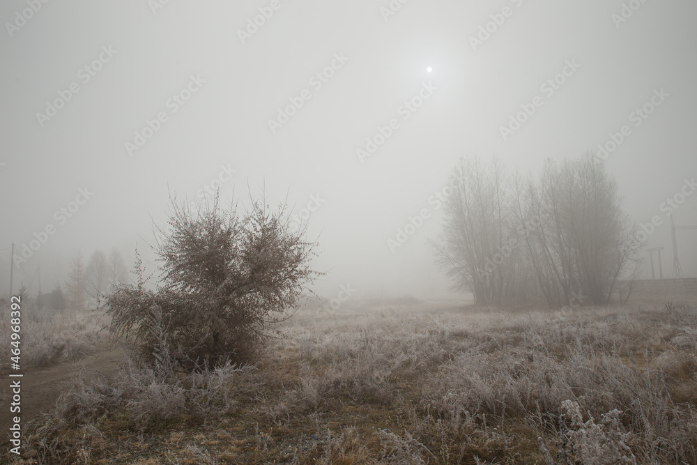 Autumn thick fog. Trees and grass in frost. Morning gloomy mystical landscape. Autumn thick fog. Trees and grass in frost. Morning gloomy mystical landscape.