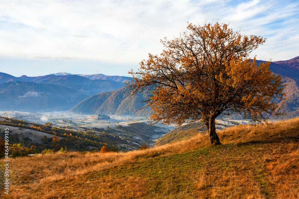 Colorful autumn landscape in the mountain village. Foggy morning in the Carpathian mountains. Pishkonia, Ukraine, Europe.