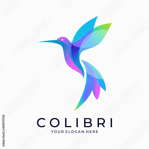 Hummingbird Logo - Colorful Bird Logo Art Design