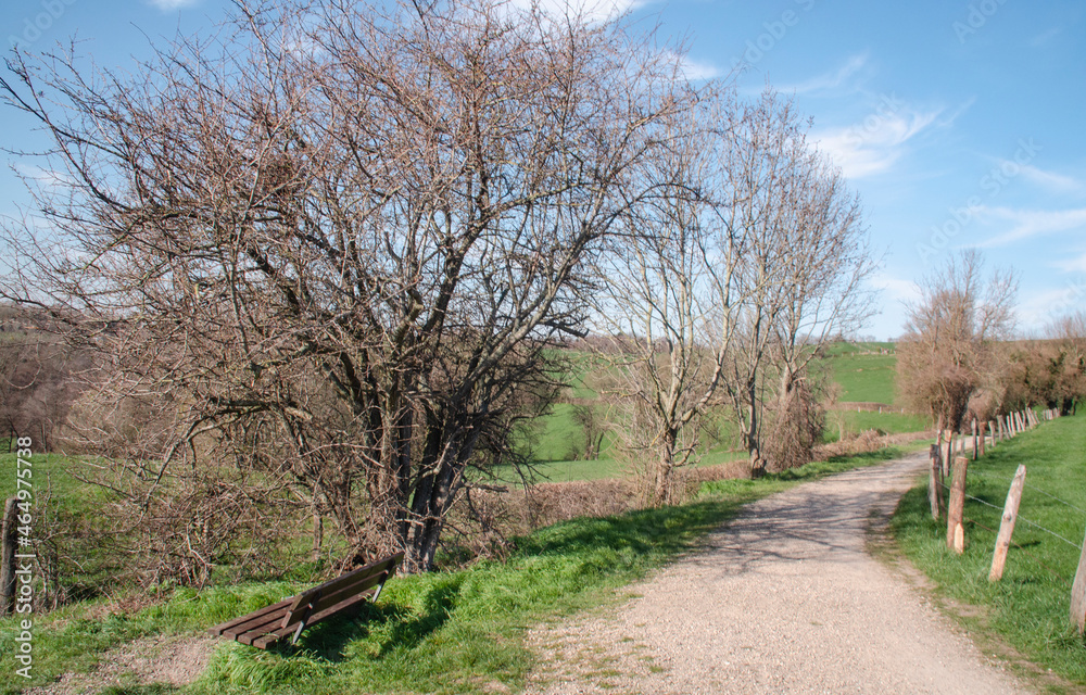 Aachen-Eilendorf : Weg in der Landschaft