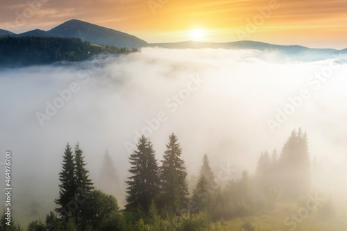 Aerial view of foggy sunrise in the mountains. Summer mountains.