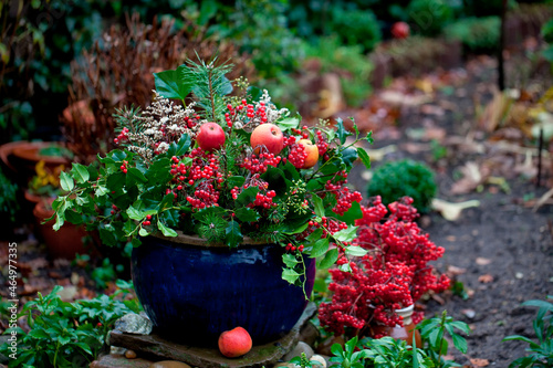 Winterly Decoration With Ilex And Apples