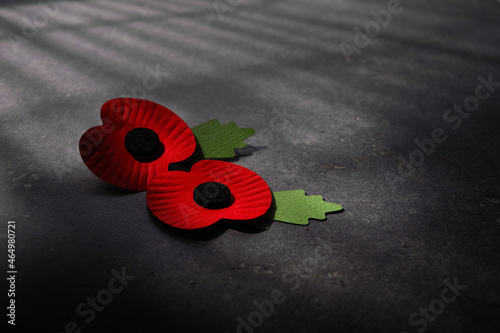 Φωτογραφία World War remembrance day