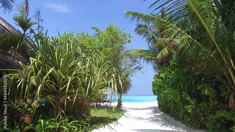 Access to the ocean through a corridor of dense vegetation in the Maldives, a romantic resort