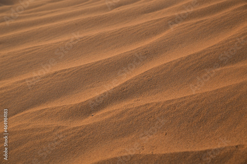 Sahara desert sand texture © diegorayaces