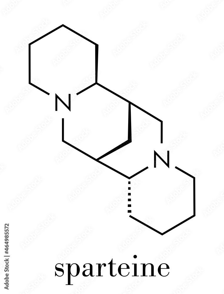 Sparteine scotch broom alkaloid molecule. Skeletal formula. Sparteine scotch broom alkaloid molecule. Skeletal formula.