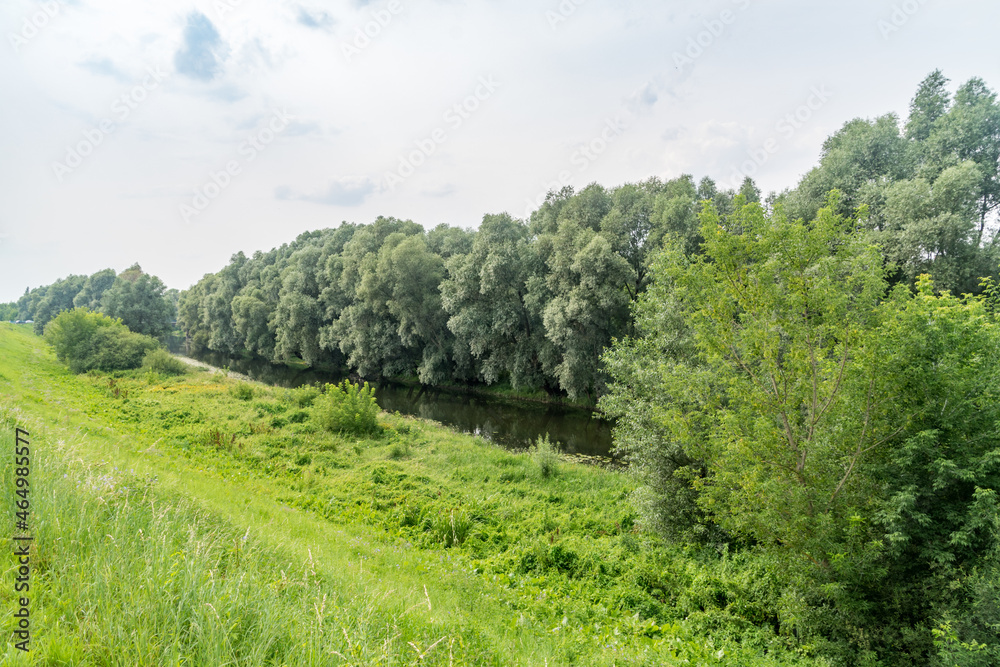 Wda river at summer time in Poland.