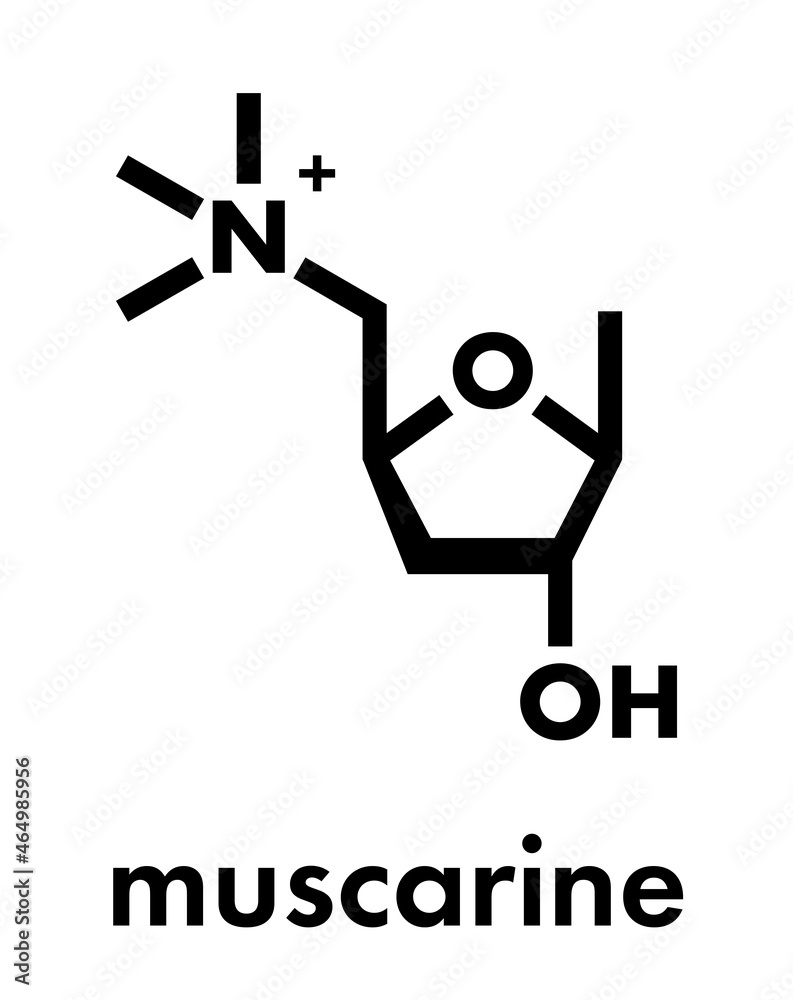 Muscarine mushroom toxin molecule. Agonist of the muscarinic acetylcholine receptors. Skeletal formula.