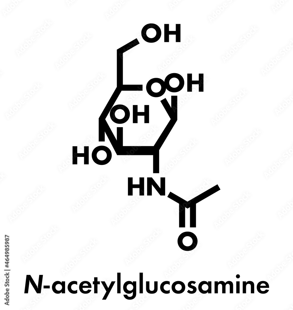 N Acetylglucosamine Bilder – Durchsuchen 20 Archivfotos ...