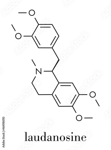 Laudanosine papaver alkaloid molecule. Skeletal formula. photo