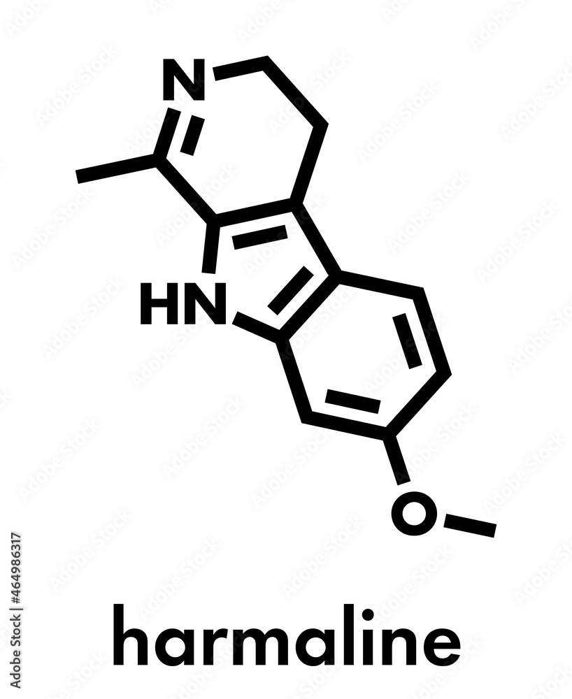 Harmaline indole alkaloid molecule. Found in Syrian rue (Peganum harmala). Skeletal formula. Harmaline indole alkaloid molecule. Found in Syrian rue (Peganum harmala). Skeletal formula.