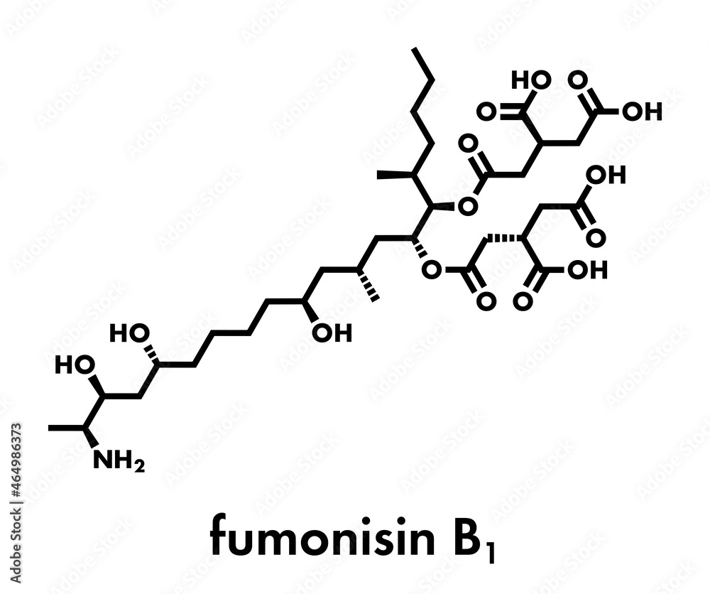 Fumonisin B1 mycotoxin molecule. Fungal toxin produced by some Fusarium molds, often present in corn and other cereals. Skeletal formula. Fumonisin B1 mycotoxin molecule. Fungal toxin produced by some Fusarium molds, often present in corn and other cereals. Skeletal formula.