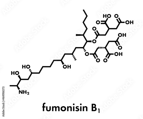 Fumonisin B1 mycotoxin molecule. Fungal toxin produced by some Fusarium molds, often present in corn and other cereals. Skeletal formula.