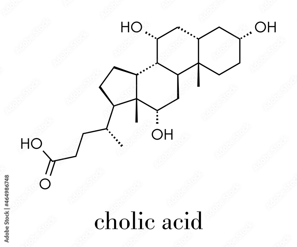 Bile acid (cholic acid, cholate) molecule. Cholic acid is the main bile acid in humans. Skeletal formula.