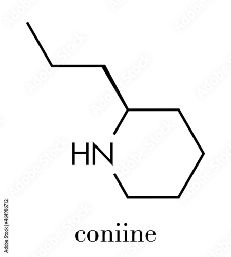 Coniine herbal toxin molecule. Present in poison hemlock (Conium maculatum). Skeletal formula.