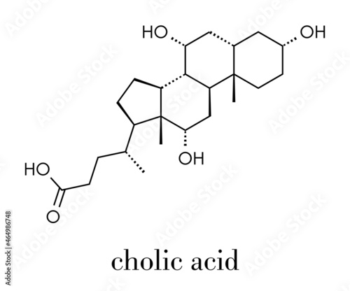Bile acid (cholic acid, cholate) molecule. Cholic acid is the main bile acid in humans. Skeletal formula.