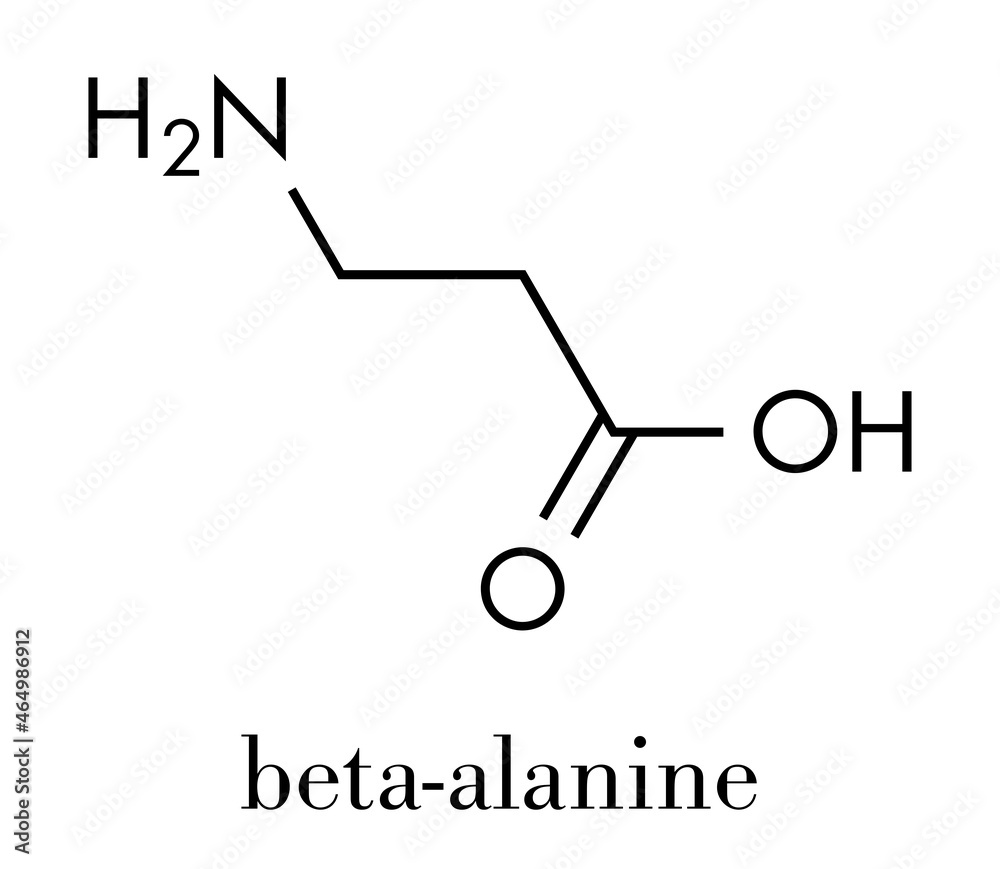 Betaalanine molecule. Naturally occurring beta amino acid. Precursor
