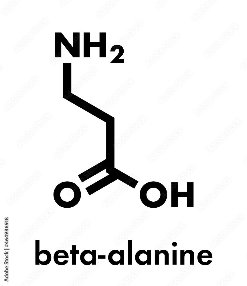 Beta-alanine molecule. Naturally occurring beta amino acid. Precursor of carnosine. Athletes often use beta-alanine supplements. Skeletal formula. Beta-alanine molecule. Naturally occurring beta amino acid. Precursor of carnosine. Athletes often use beta-alanine supplements. Skeletal formula.