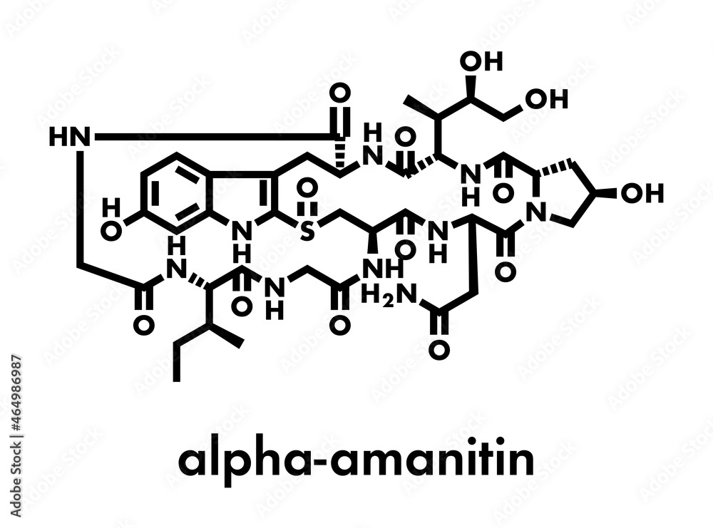 Alpha-amanitin death cap toxin molecule. Present in many Amanita mushrooms. Skeletal formula.