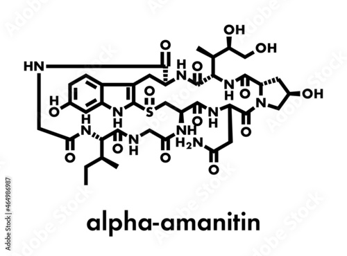Alpha-amanitin death cap toxin molecule. Present in many Amanita mushrooms. Skeletal formula. photo