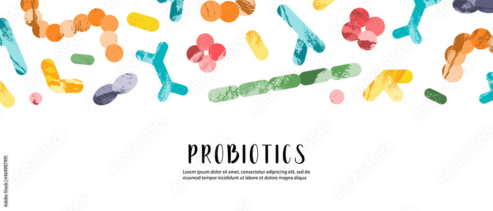 Probiotics. Lactic acid bacteria. Good microorganisms for gut, intestinal flora health. Microflora. Microbiome. Bifidobacterium, lactobacillus,  lactococcus, thermophilus streptococcus. Vector banner