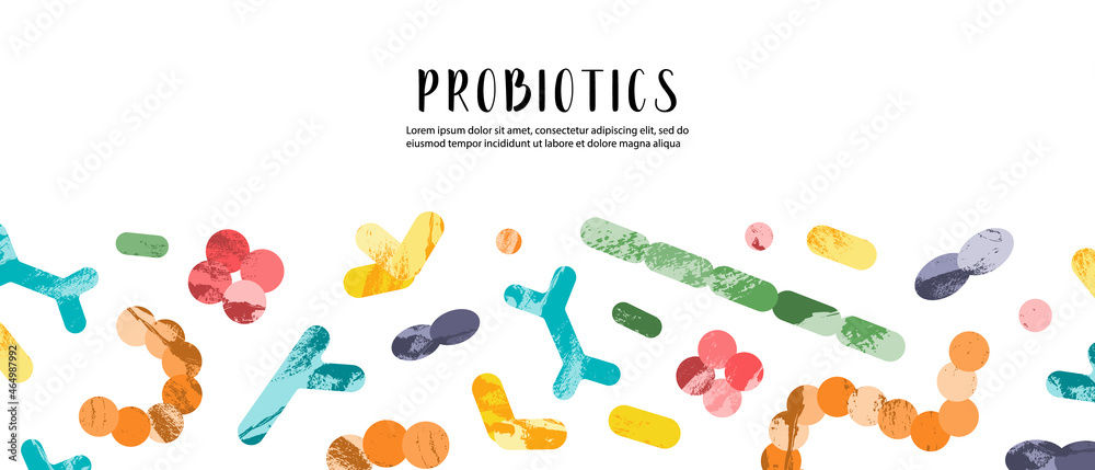 Probiotics. Lactic acid bacteria. Good microorganisms for gut, intestinal flora health. Microflora. Microbiome. Bifidobacterium, lactobacillus,  lactococcus, thermophilus streptococcus. Vector banner