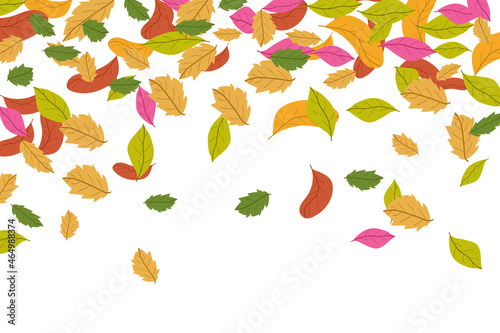 colorful leaves falling on a white background