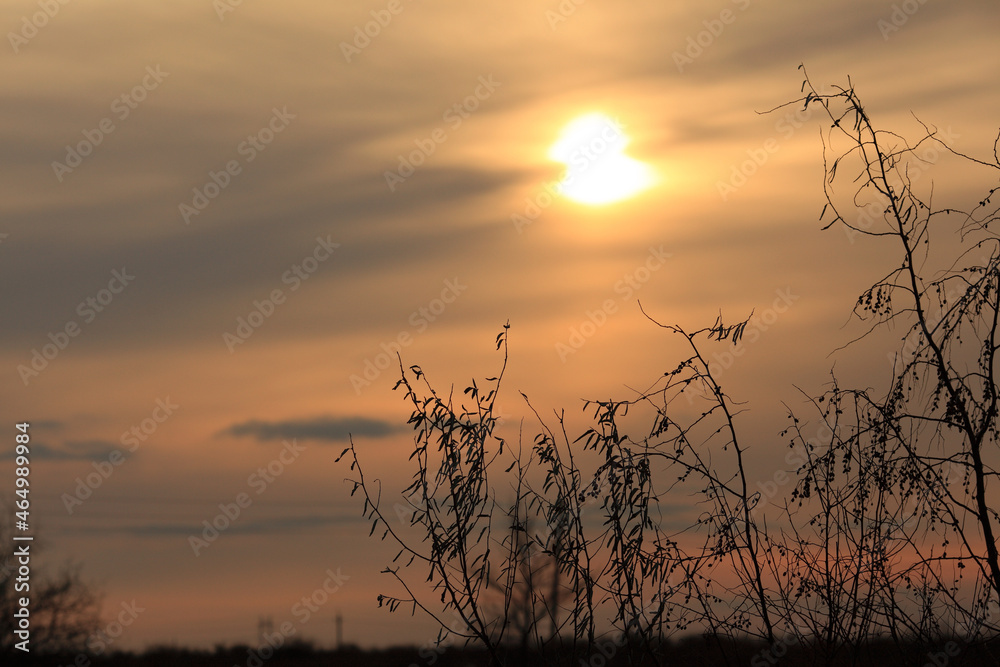 Beautiful Dawn. Dramatic clouds as a defocused natural background. Golden autumn in the steppe at sunrise. The Astrakhan region. Russia. Beautiful Dawn. Dramatic clouds as a defocused natural background. Golden autumn in the steppe at sunrise. The Astrakhan region. Russia.