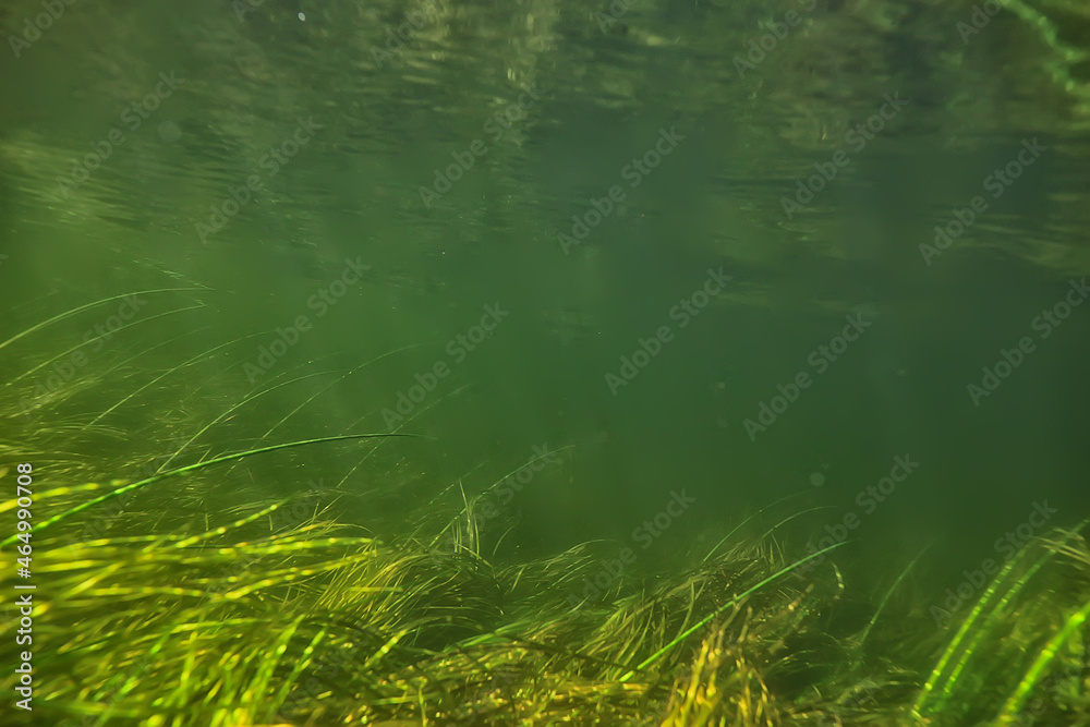 abstract underwater background in the lake, clean freshwater