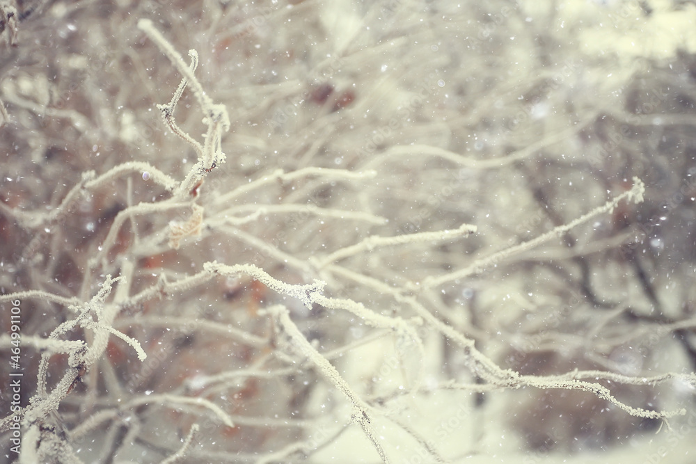 branches covered with hoarfrost background, abstract landscape snow winter nature frost