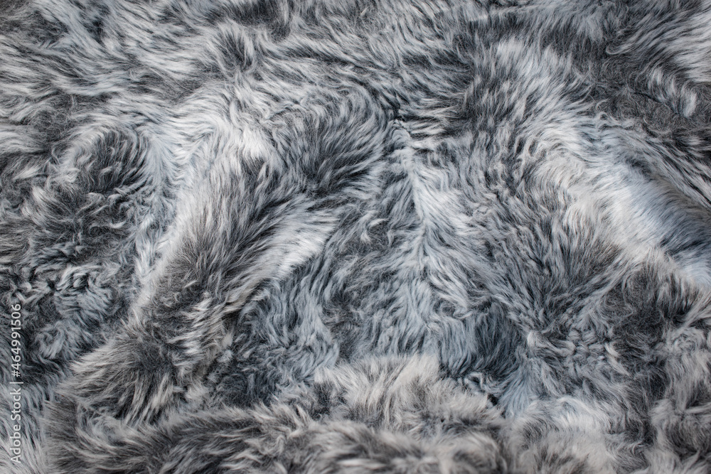 Abstract gray fur background texture close-up Abstract gray fur background texture close-up
