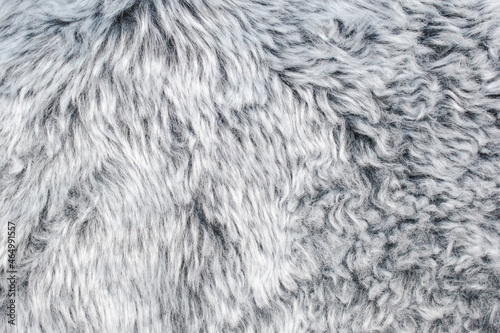Abstract gray fur background texture close-up