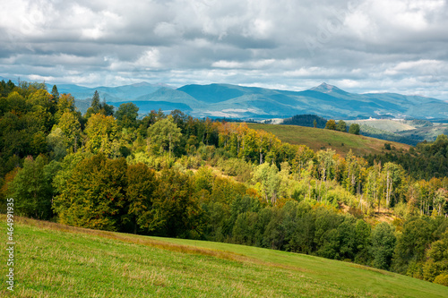 Fototapeta Naklejka Na Ścianę i Meble -  mountain landscape in early autumn. trees and meadows on rolling hill in dappled light. sunny nature scenery with cloudy sky on a sunny and windy day