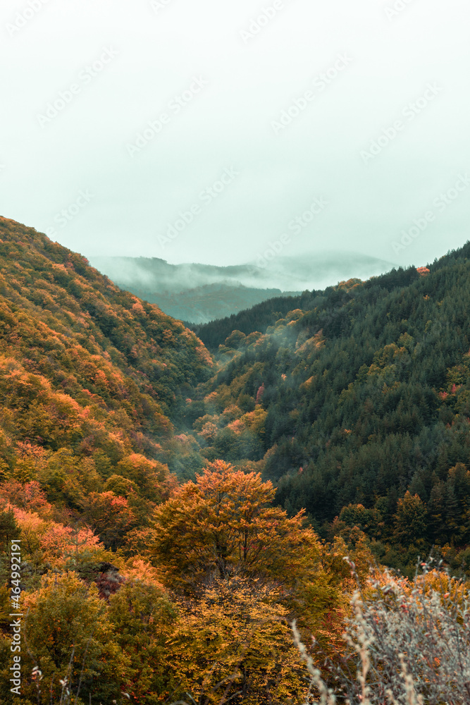 Landscape of the Bulgarian mountains in one of the national parks.
