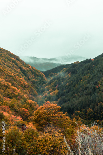 Landscape of the Bulgarian mountains in one of the national parks.
