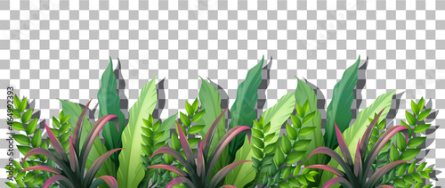 Grass and plants on transparent background for decor