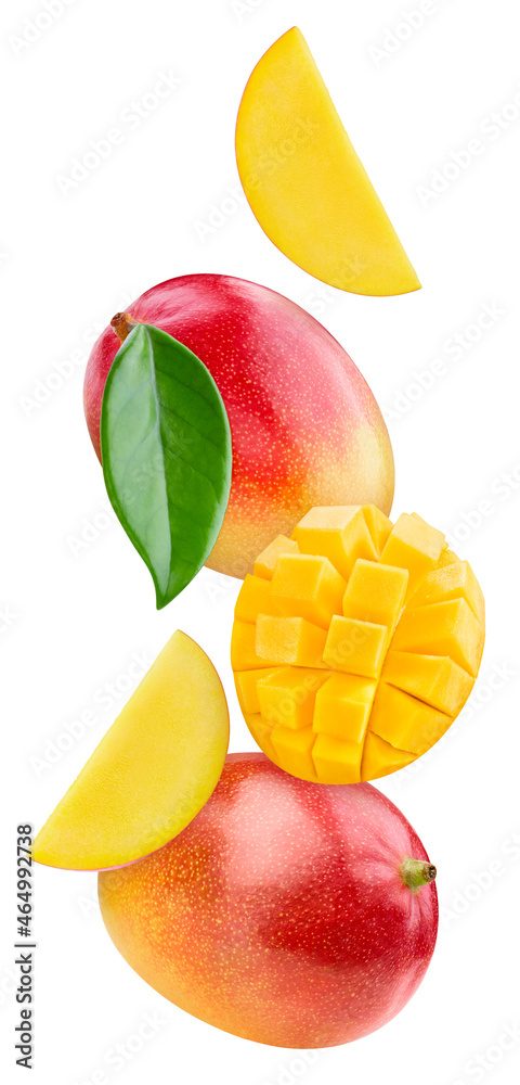 Mango and leaves, isolated on white background Mango and leaves, isolated on white background