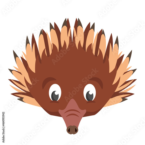 Echidna face front view. Animal head in cartoon style.