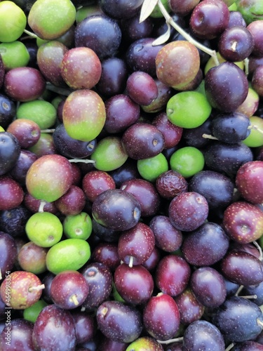 olives market