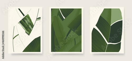 Fotografia Aesthetic minimalist abstract botanical illustrations