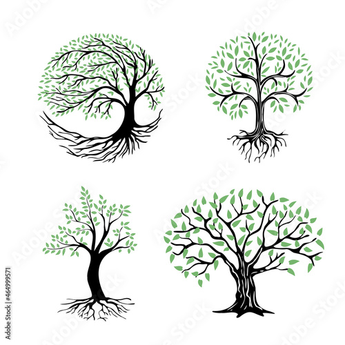A set of illustrations of a tree with roots and green foliage. Abstract tree icon on a white background. Round logo of a tree with a rhizome.