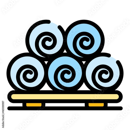 Rollers towels in the sauna icon. Outline rollers towels in the sauna vector icon color flat isolated
