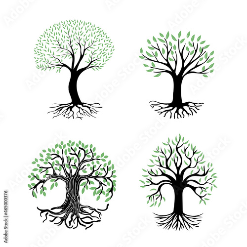 A set of illustrations of a tree with roots and green foliage. Abstract tree icon on a white background. Round logo of a tree with a rhizome.
