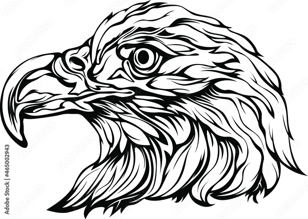Hand drawn eagle head emblem. Mascot bird vector. Logo illustration.