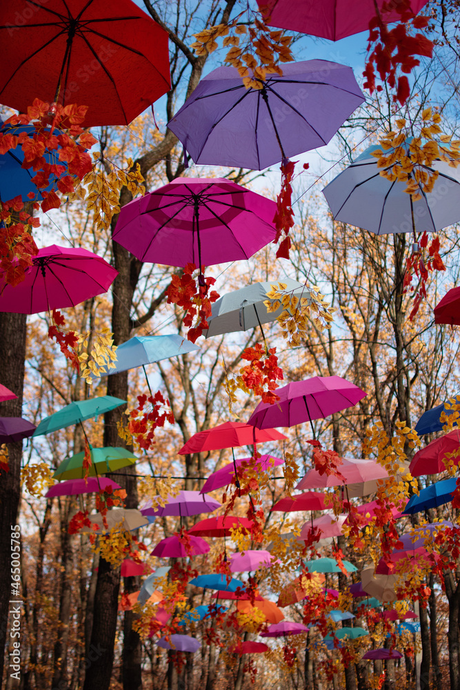 Vivid colorful umbrellas overhead the alley in public park on a nice day in fall or autumn season