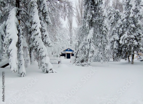 snow covered house © Elena