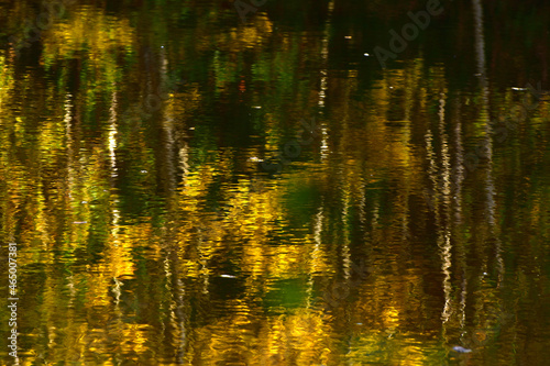 Herbstlaub spiegelt sich in Teich